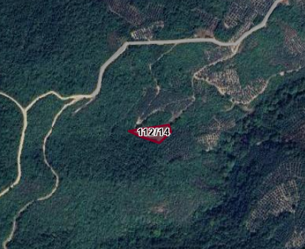 BURSA ORHANGAZİ DUTLUCA MAH. 2.126 M²  ZEYTİNLİK  SATILIK - BURSA ORHANGAZİ fotoğraf 4